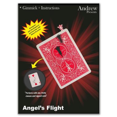 Angel's Flight by Andrew and Ednei Ernesto