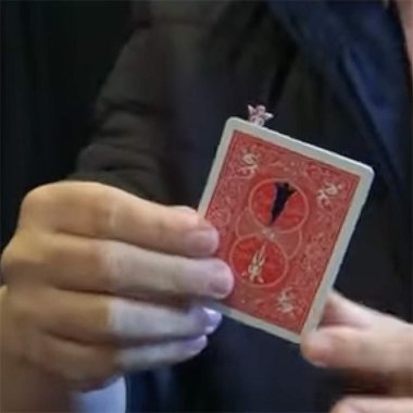 Angel\'s Flight by Andrew and Ednei Ernesto