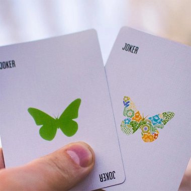 Butterfly Seasons Playing Cards - Spring  (marked)