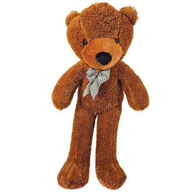 Appearing Teddy Bear - Medium size