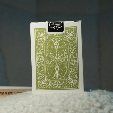 Bicycle - Gino The Croco