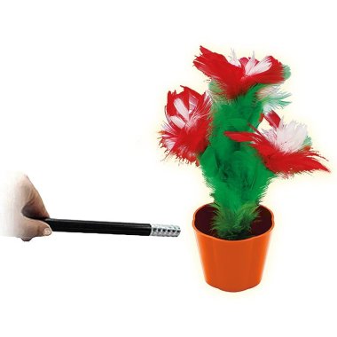 Magic Appearing Flowers