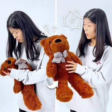 Appearing Teddy Bear - Small size