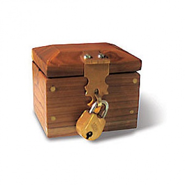 lock Box -MiniZamknięte pudełko