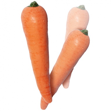 Multiplying Carrots - Latex