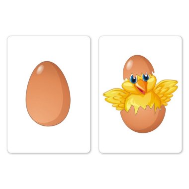 My Egg (Bicycle)